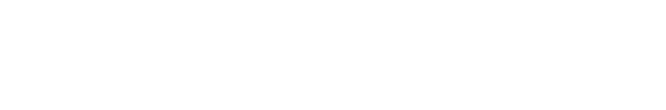The Economic Consultant
